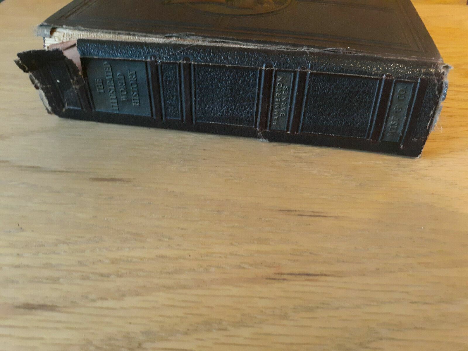 Image #5