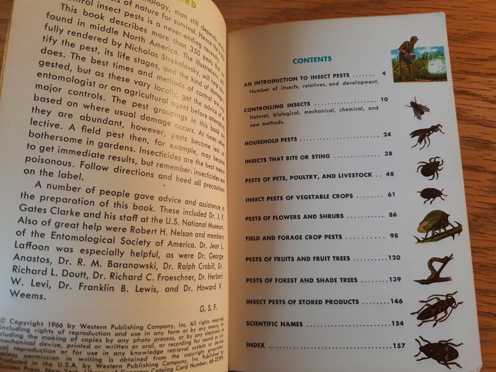 Image #8