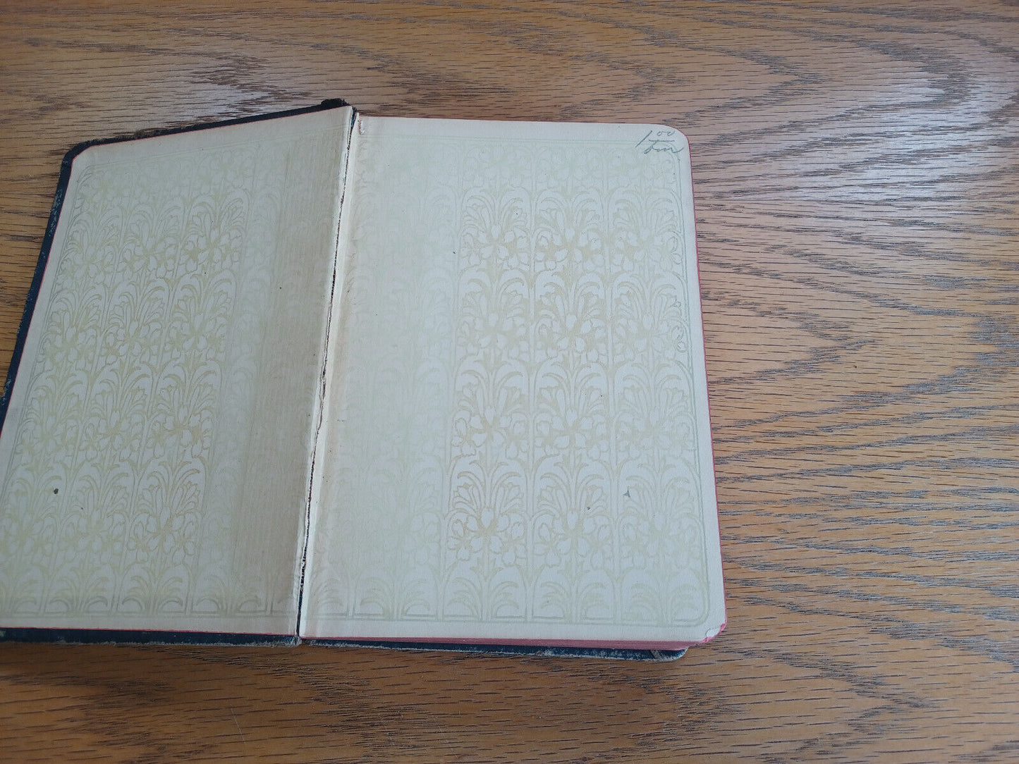 Image #7
