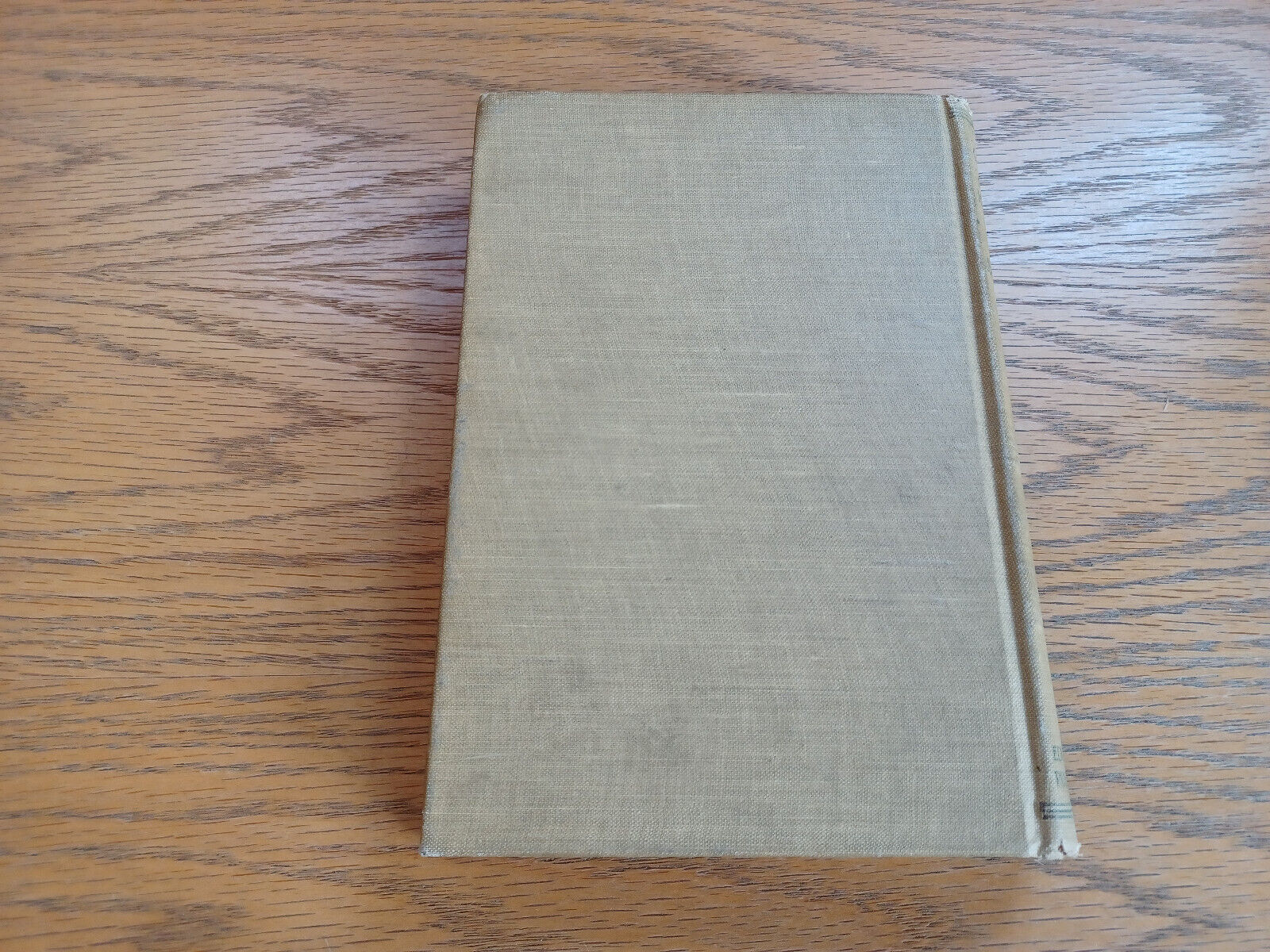 Image #6