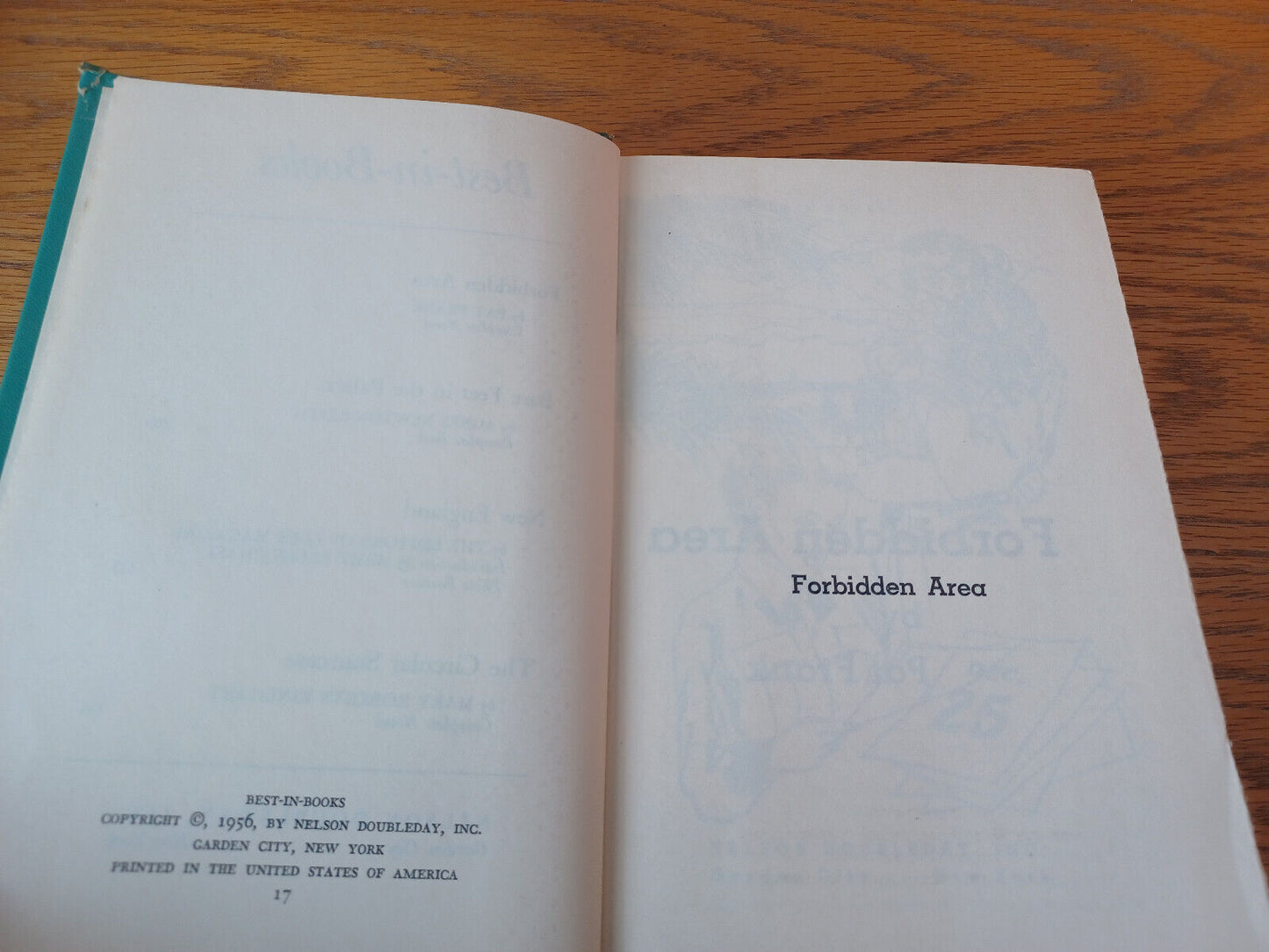 Image #8