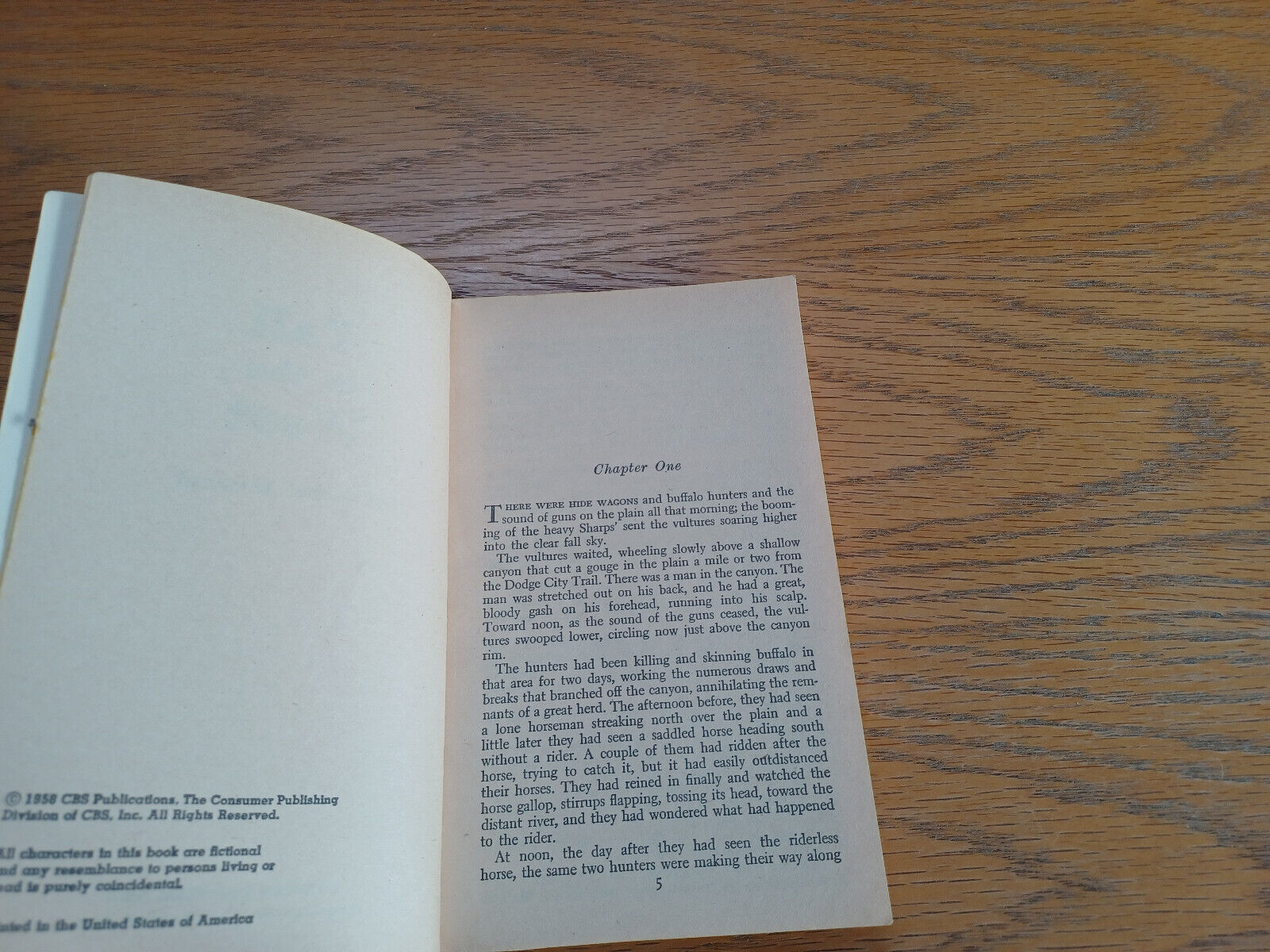 Image #8