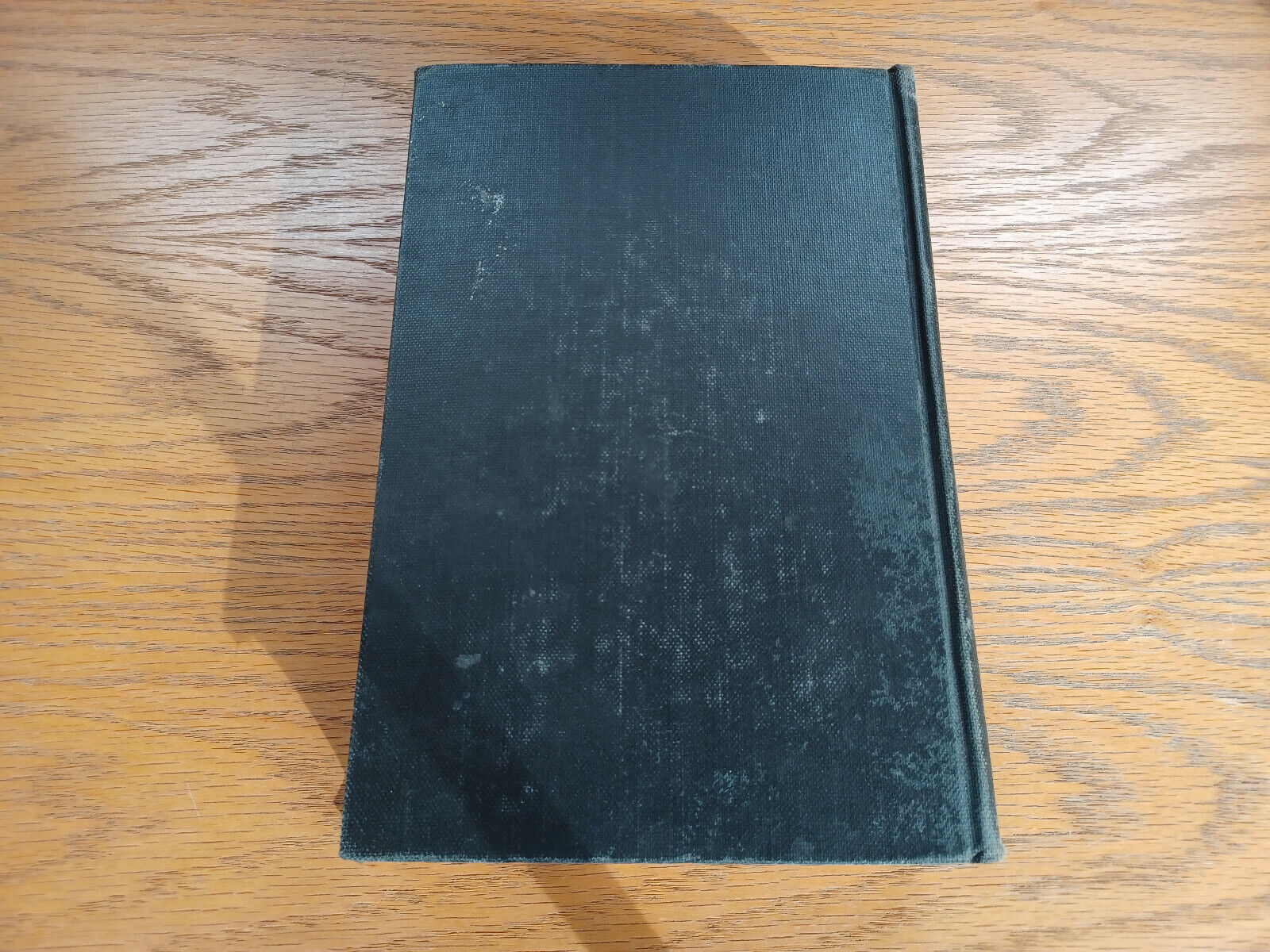 Image #6