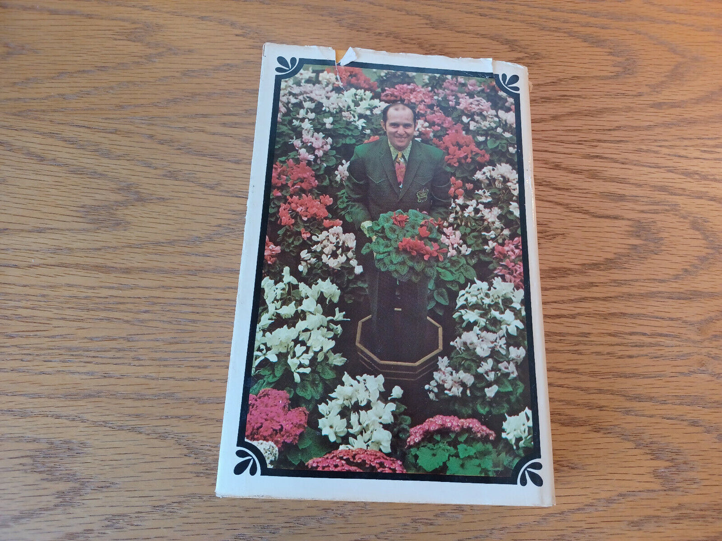 Image #6