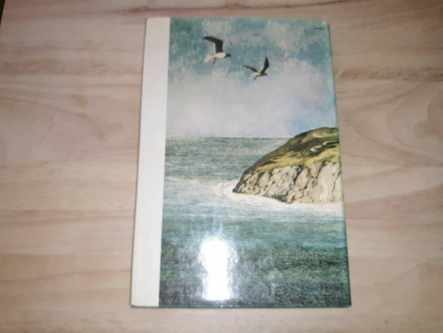 Image #6