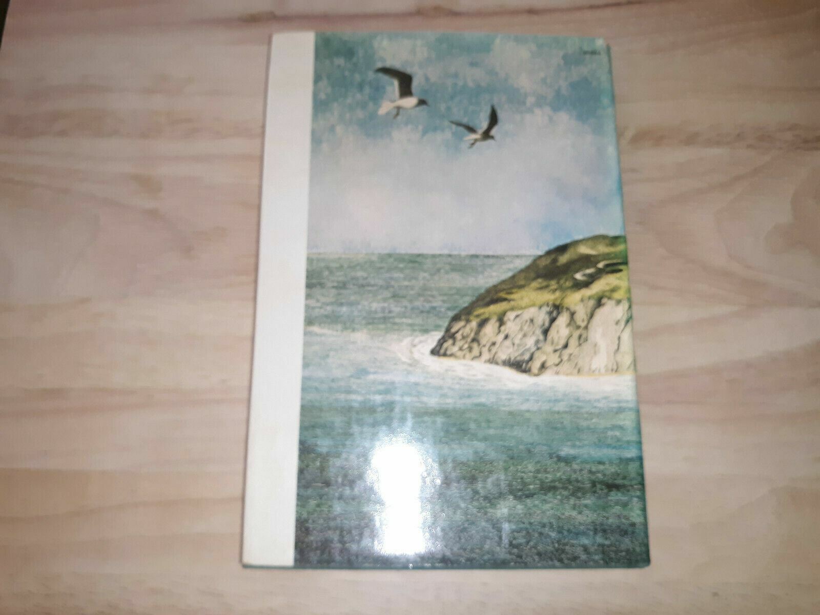 Image #6