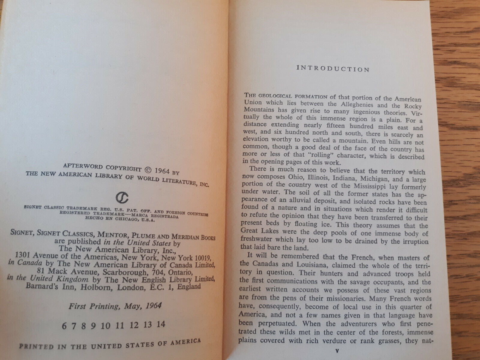 Image #8