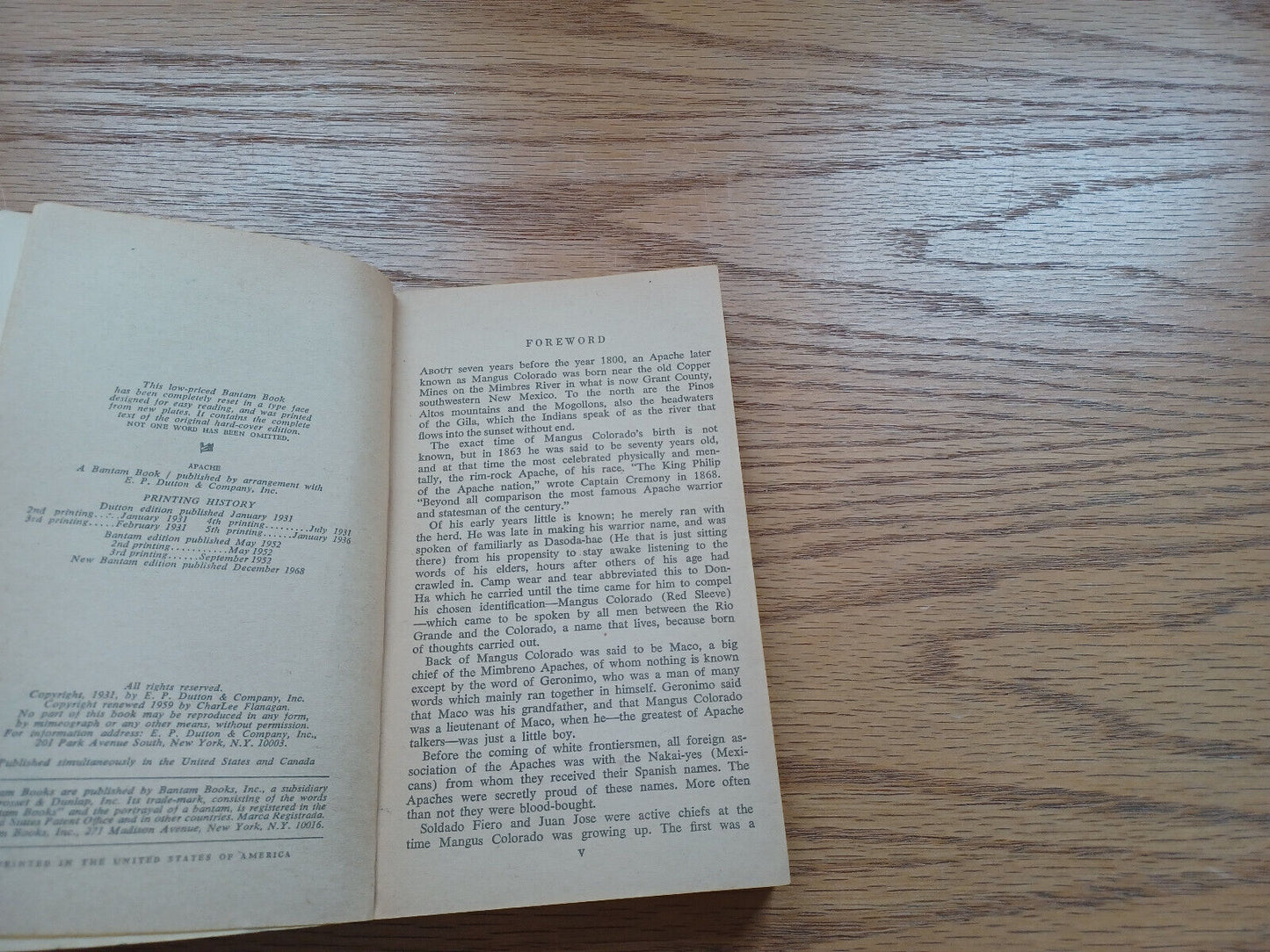 Image #8