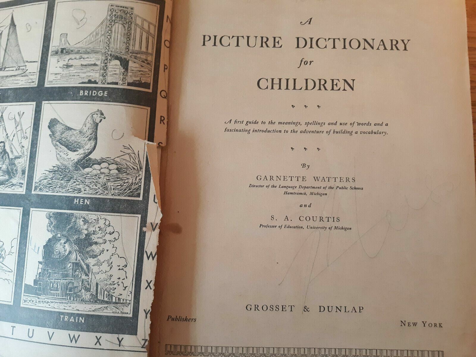Image #8