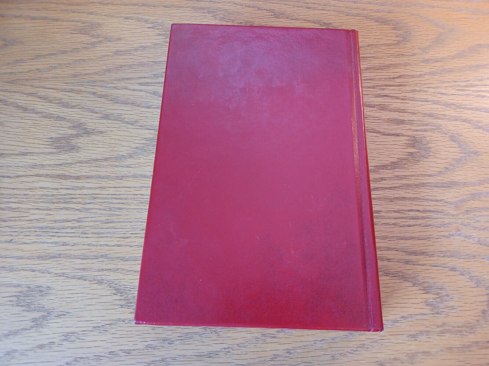 Image #6