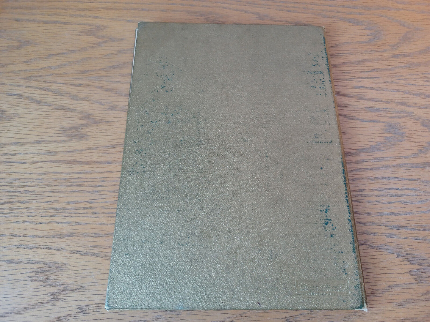 Image #6