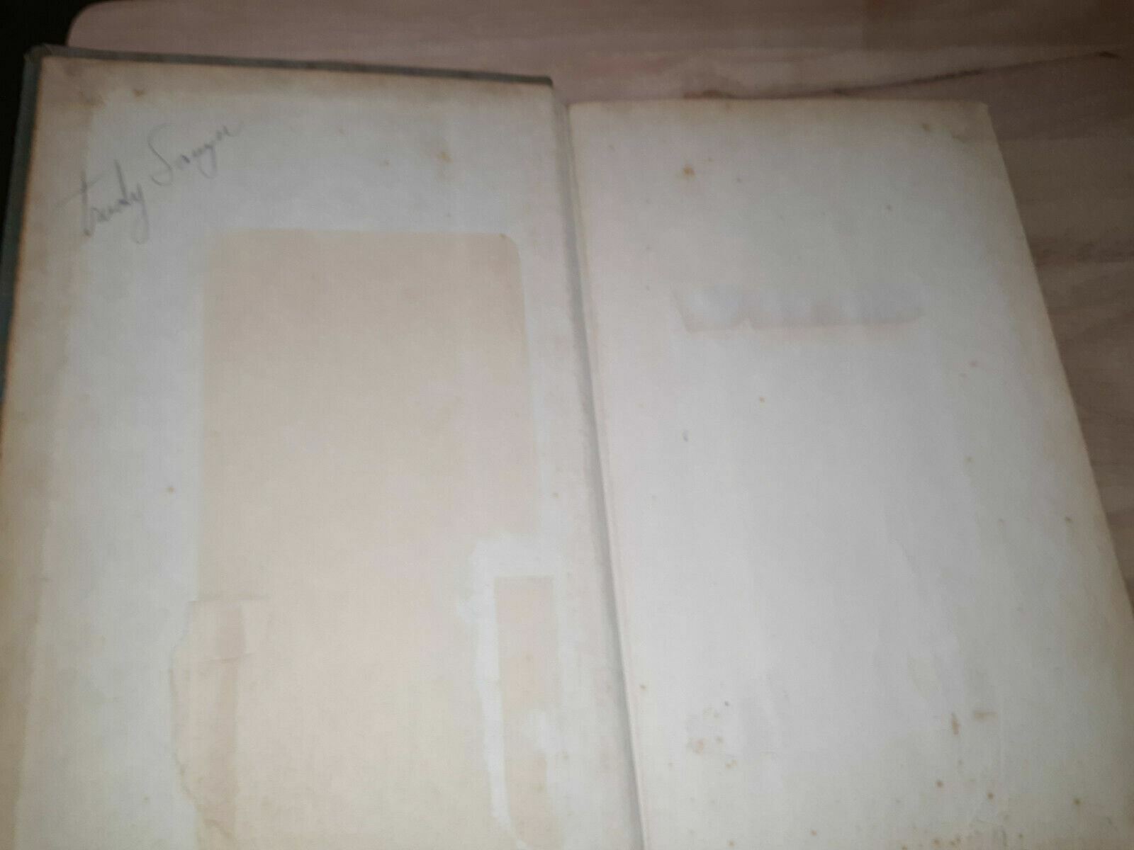 Image #7