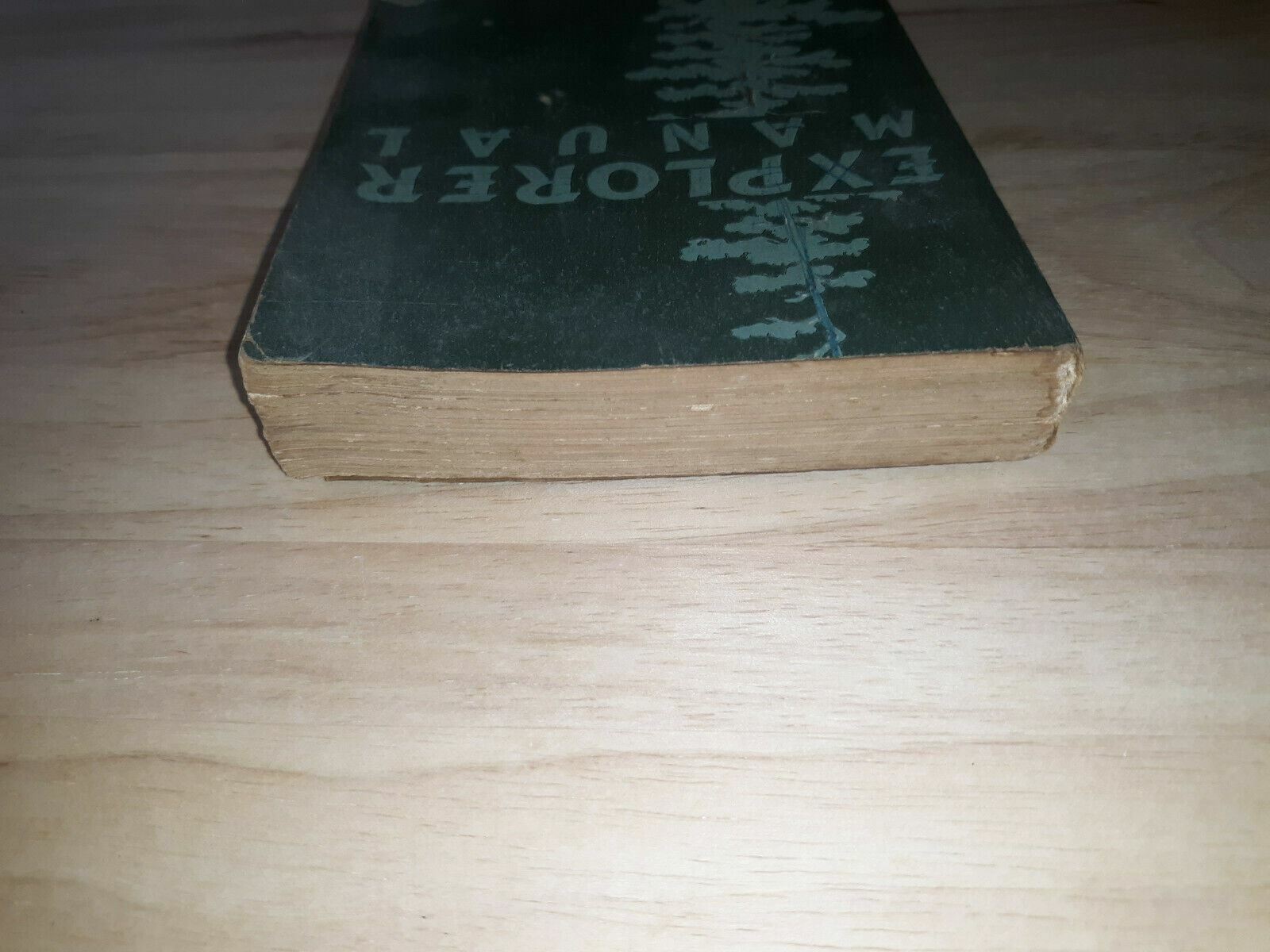 Image #4