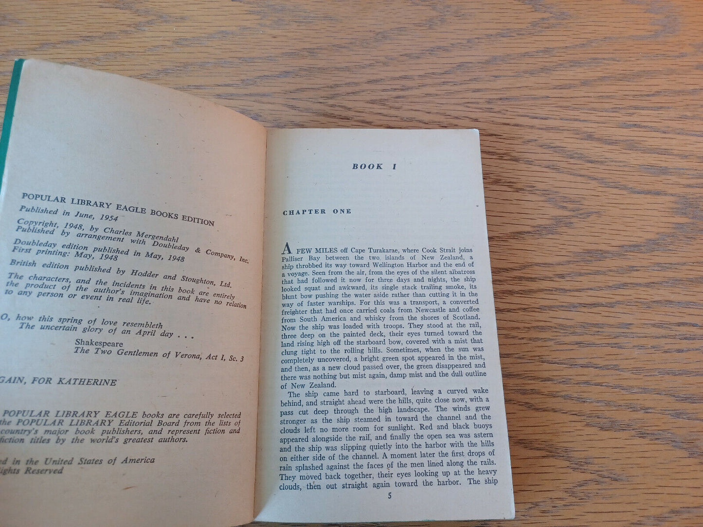 Image #8