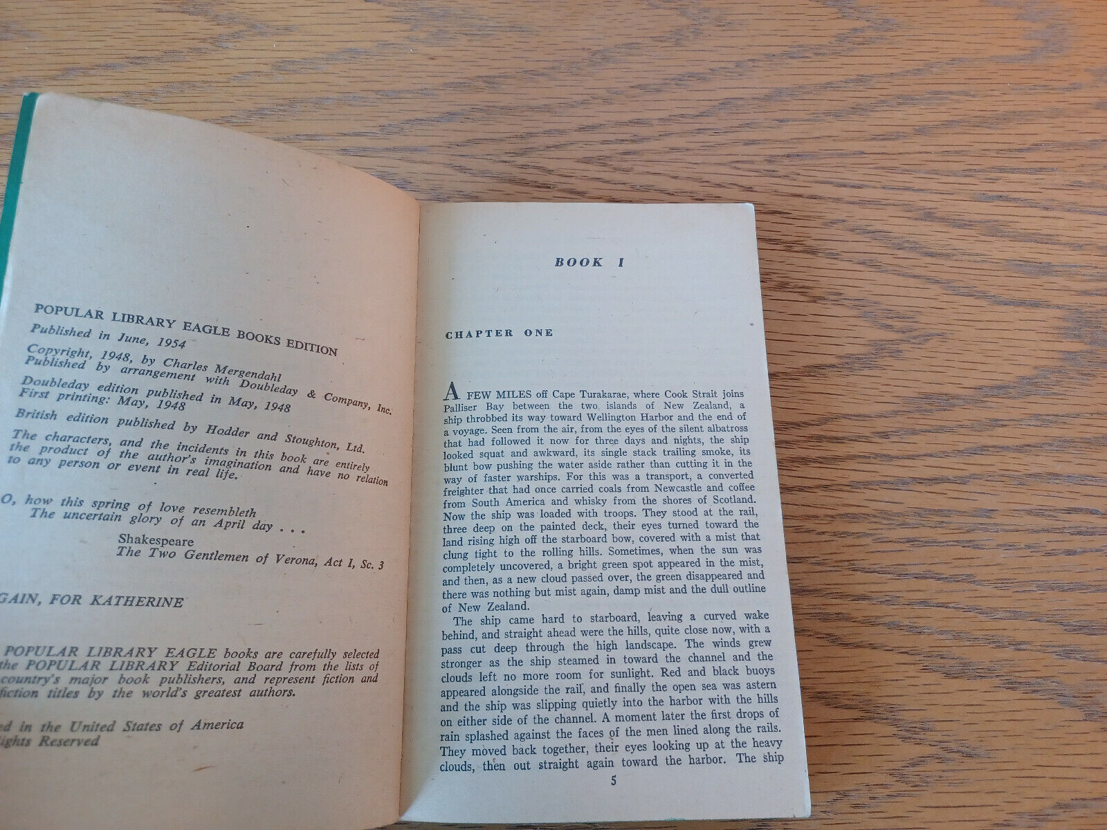 Image #8