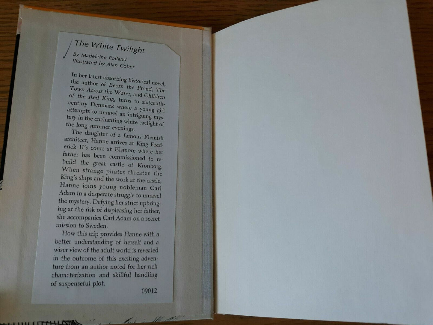 Image #7