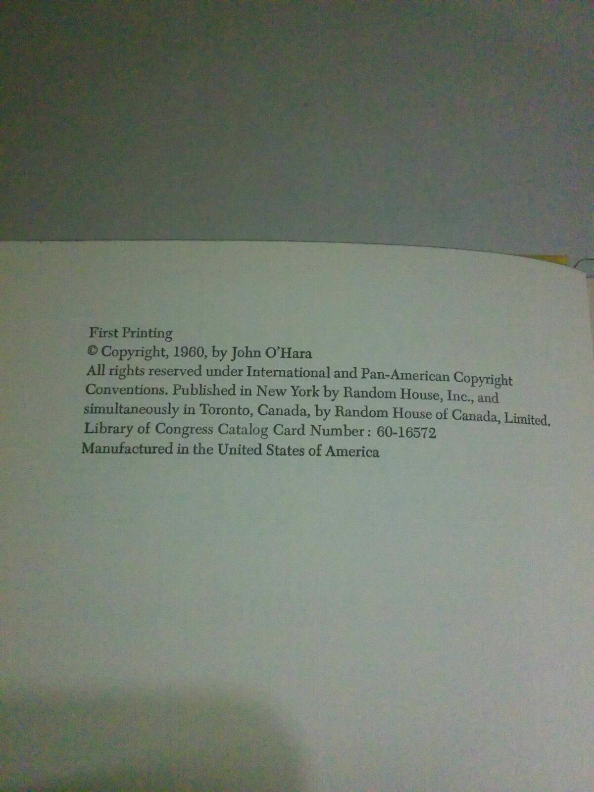 Image #8