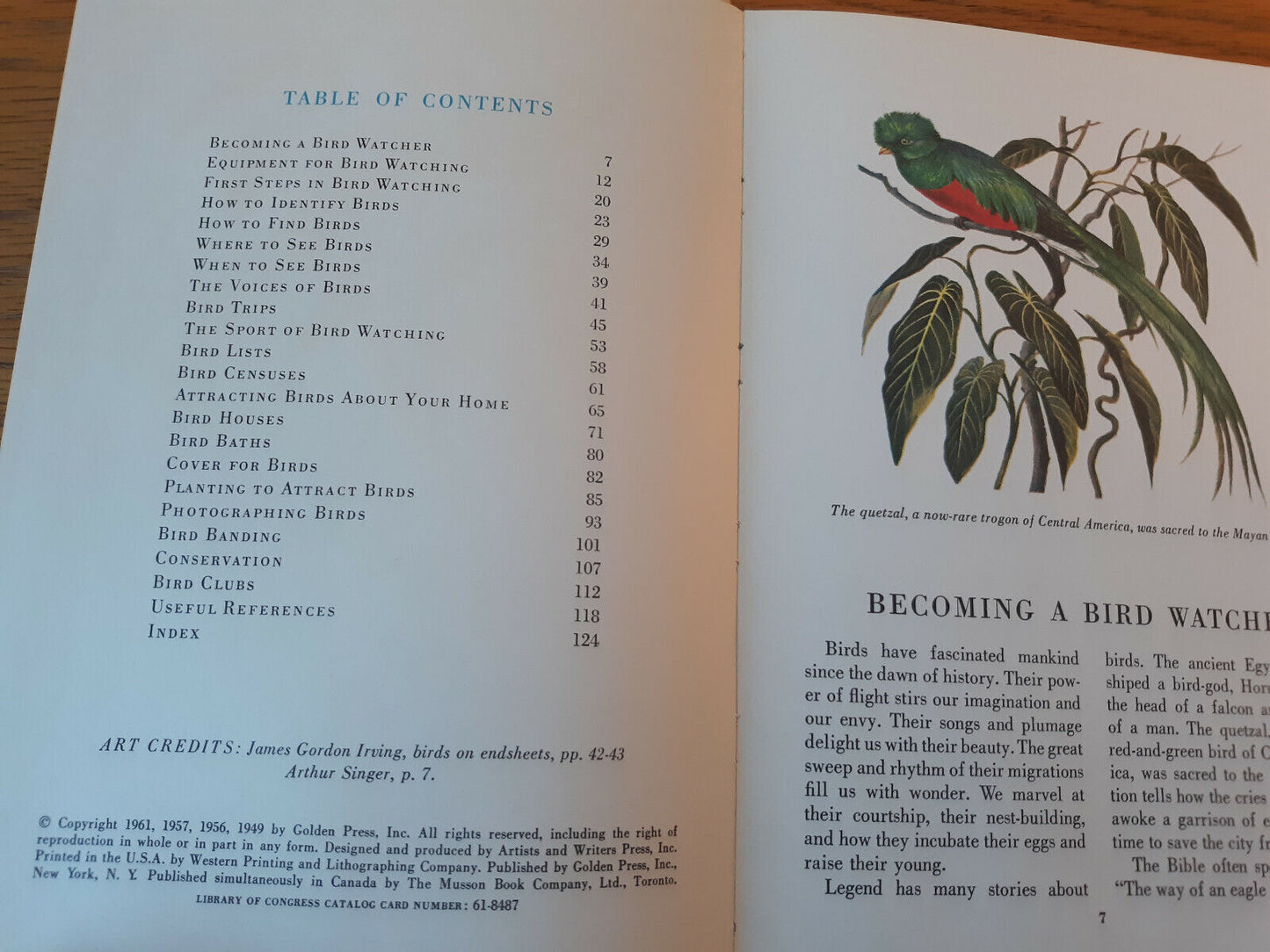 Image #8