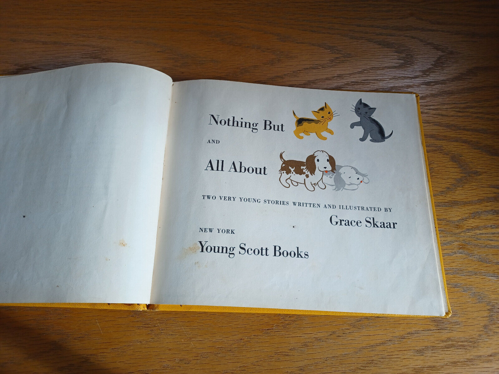Image #8
