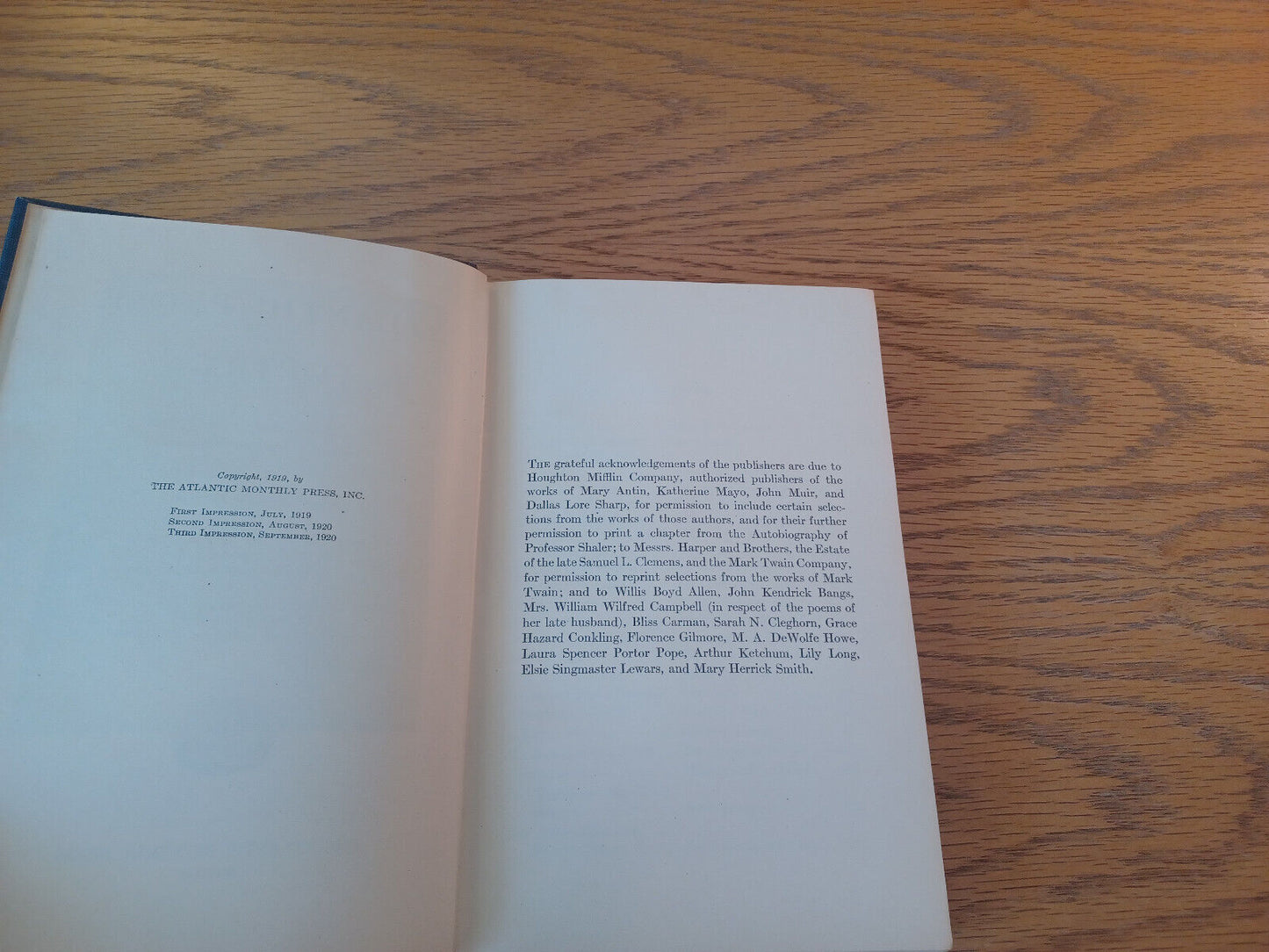Image #8