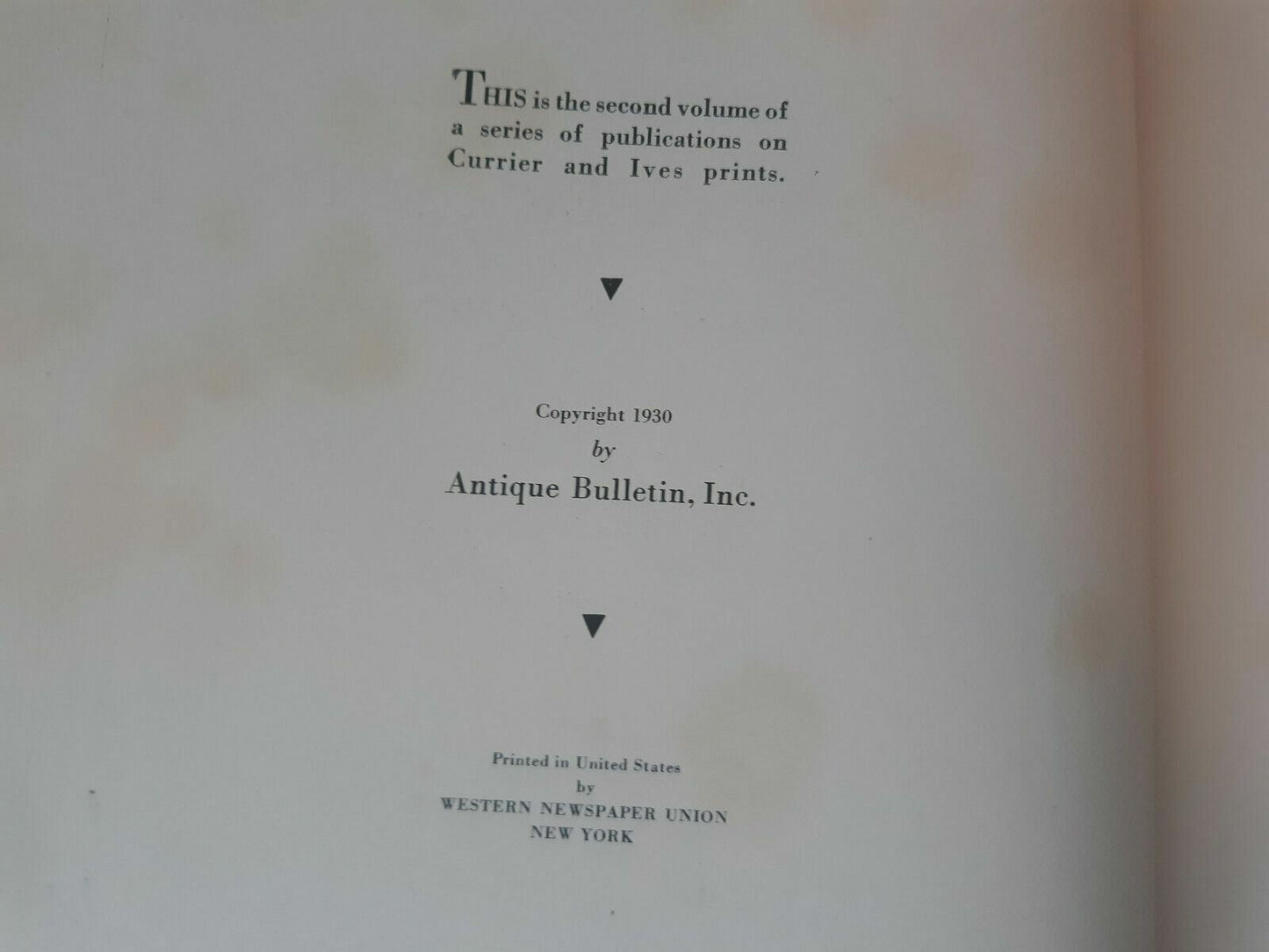 Image #8
