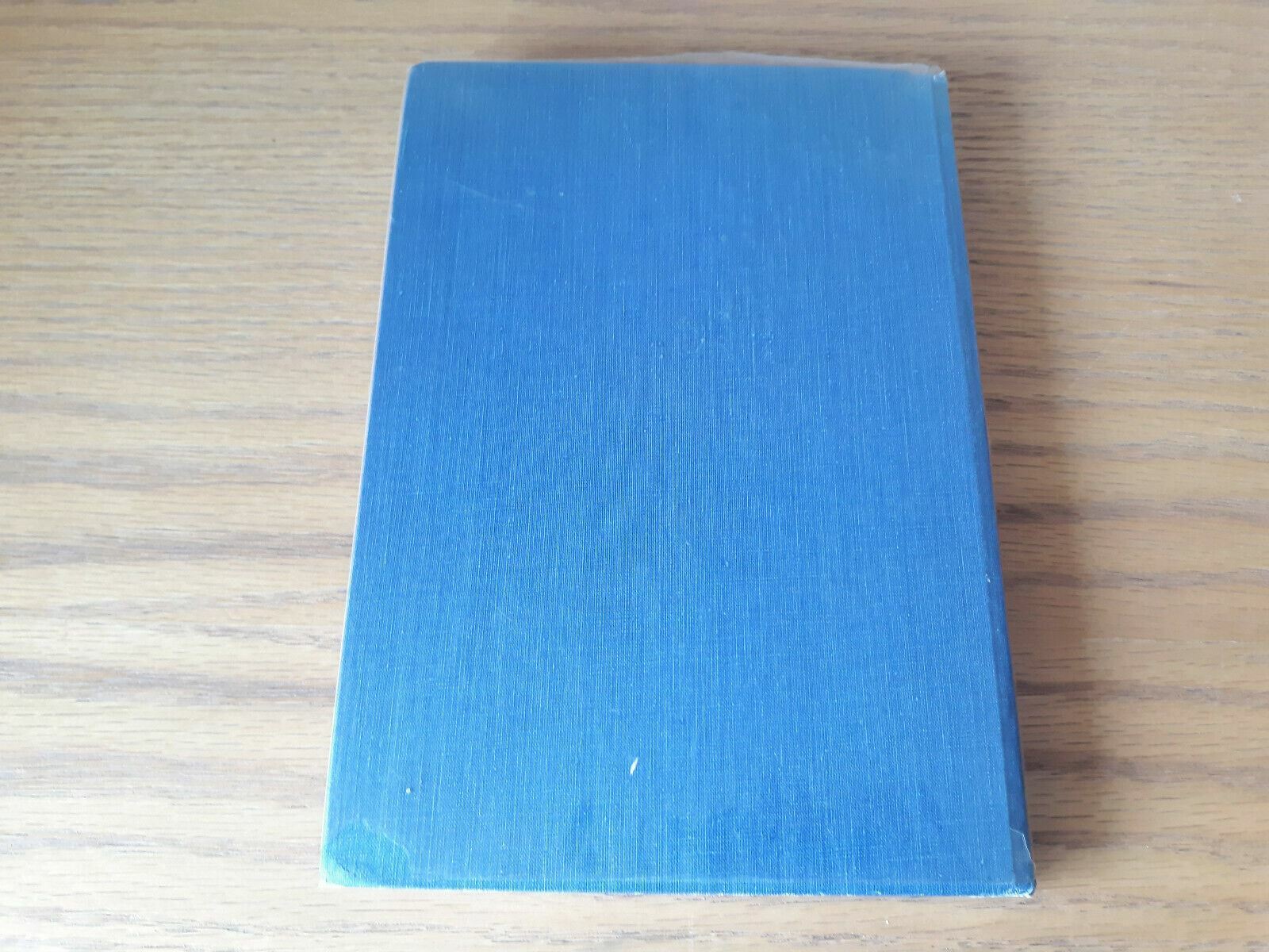 Image #6