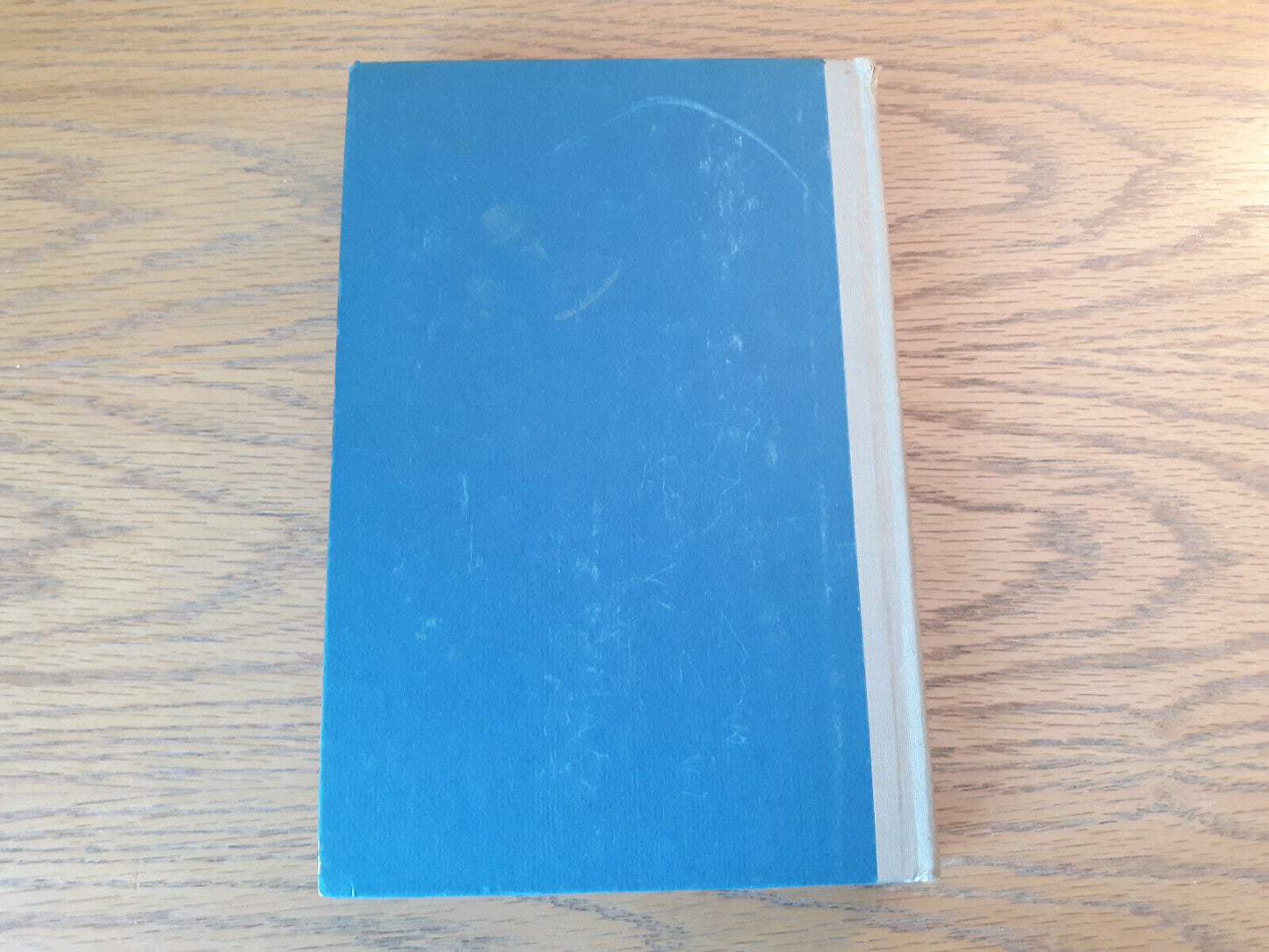 Image #6