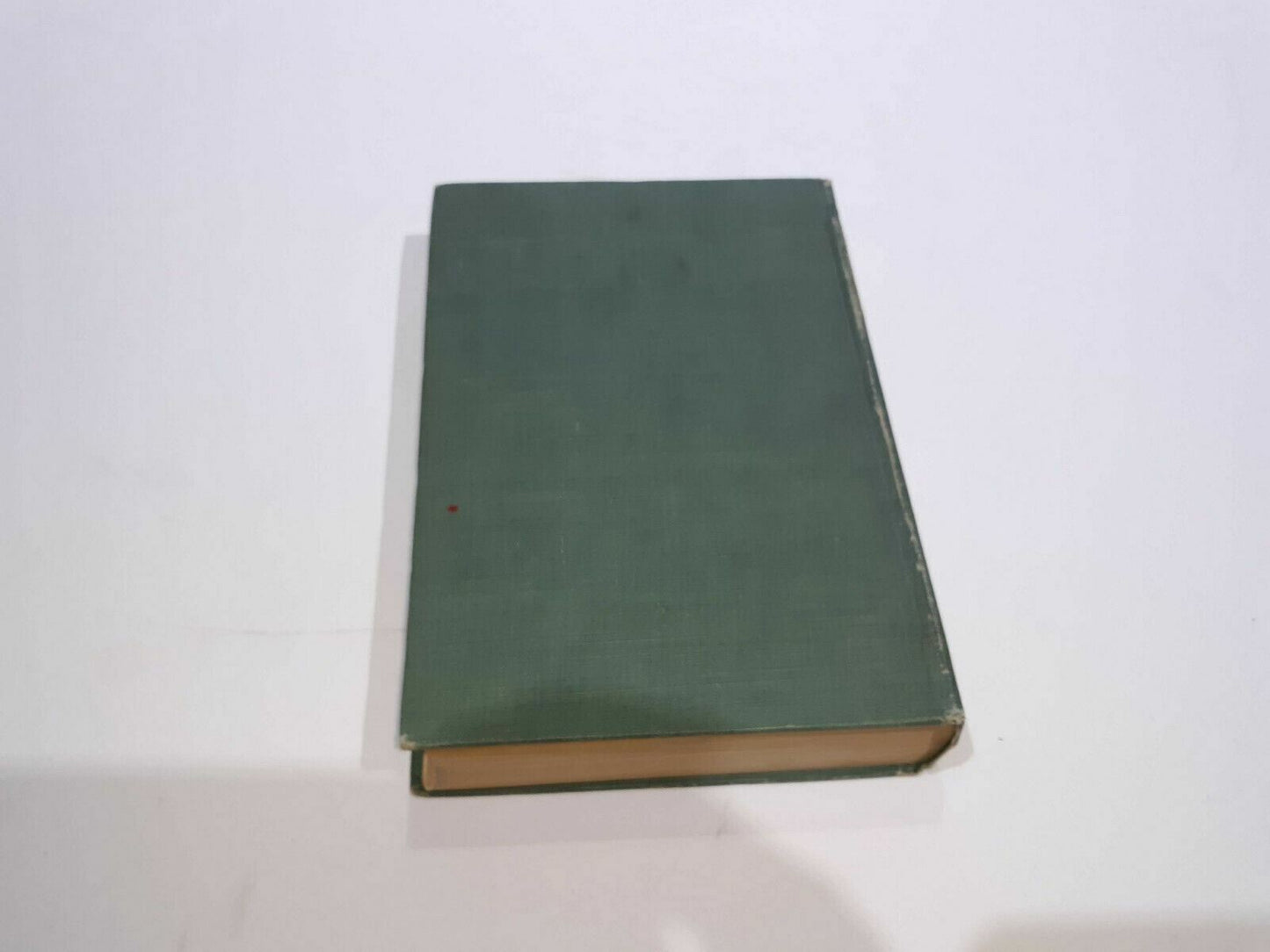 Image #8