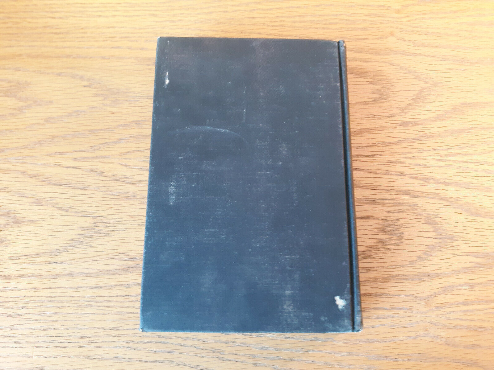 Image #6