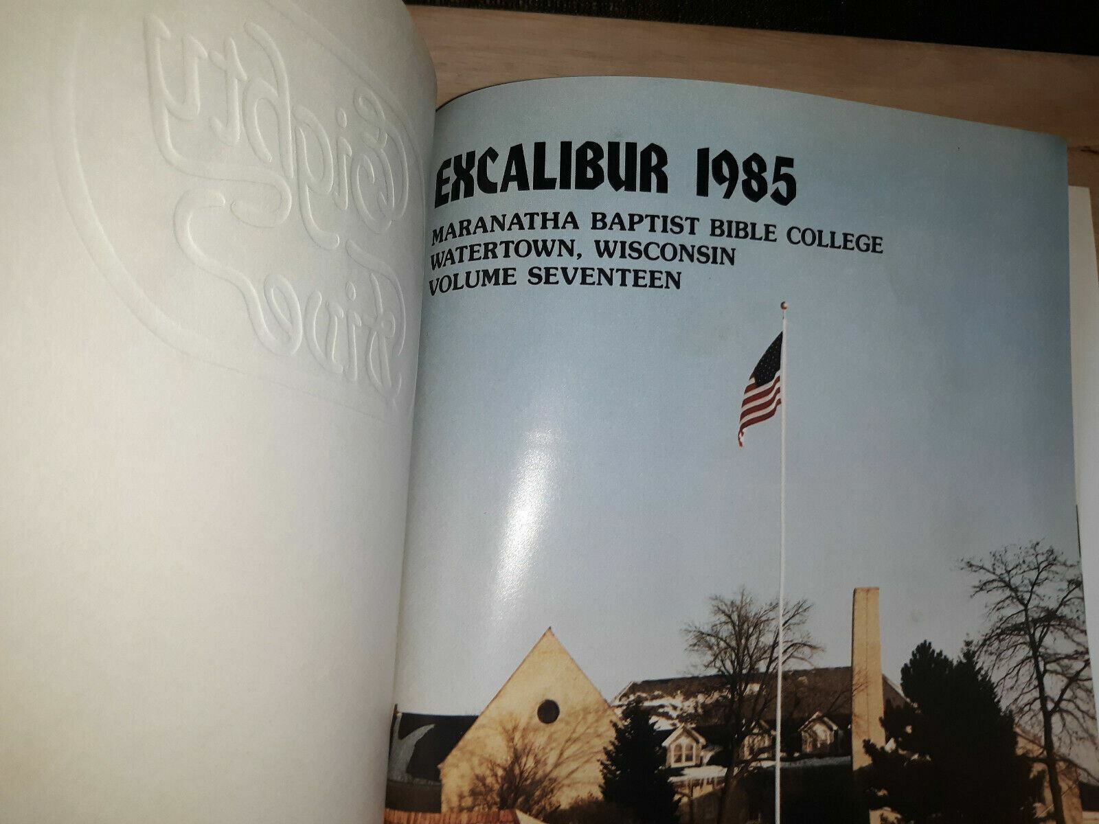 Image #8