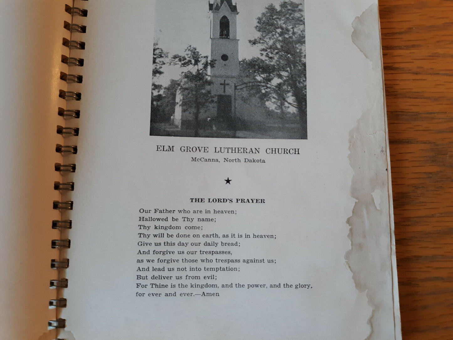 Image #8