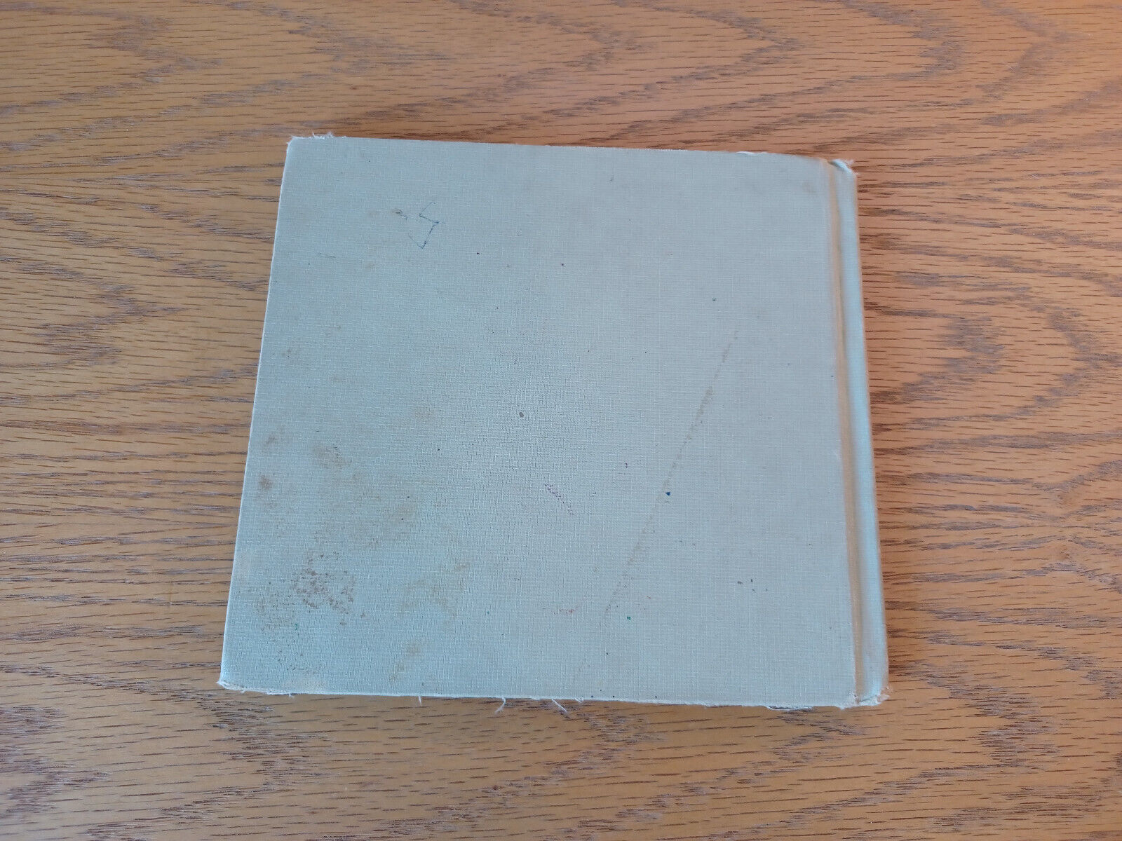Image #6