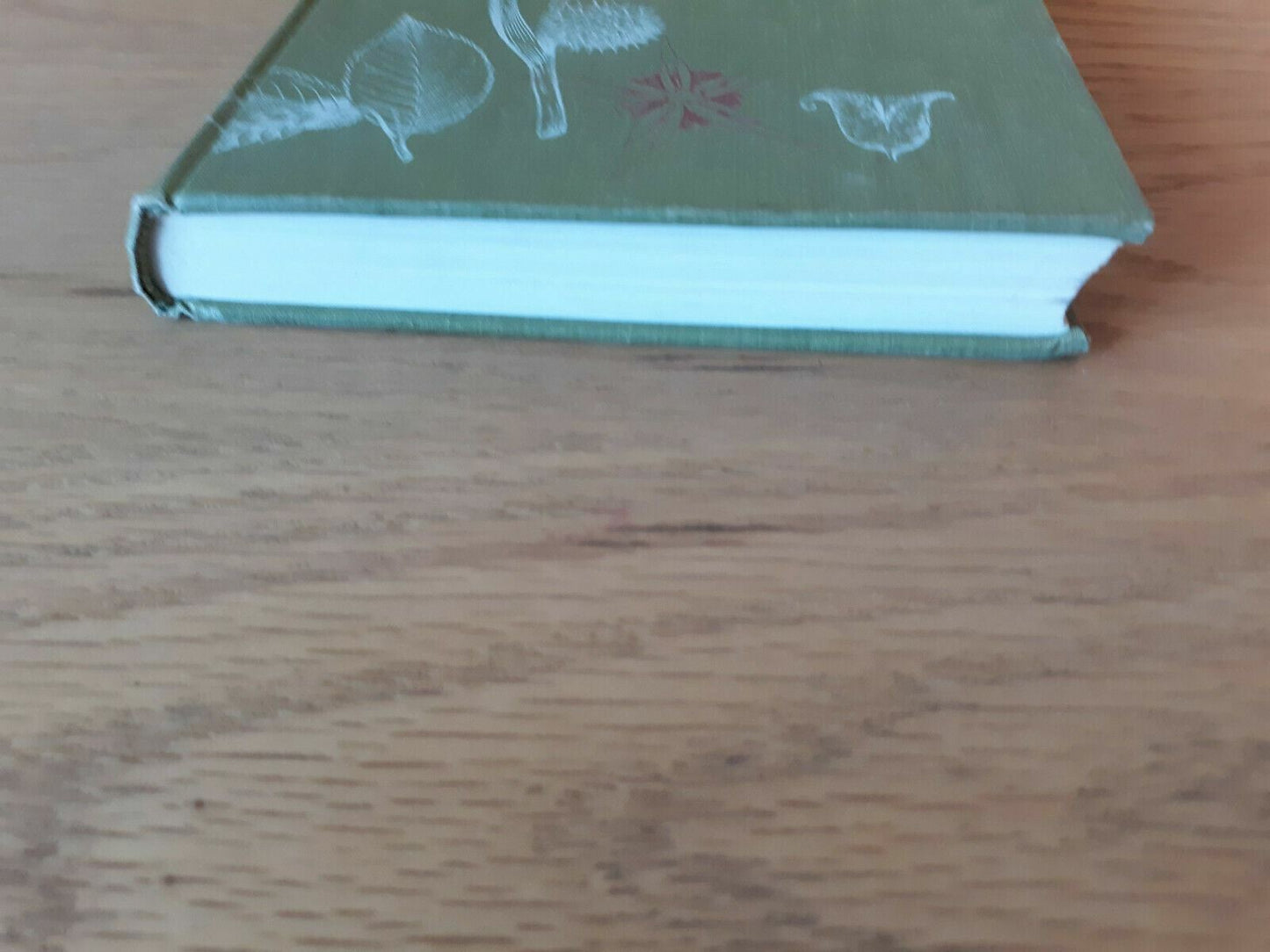 Image #2