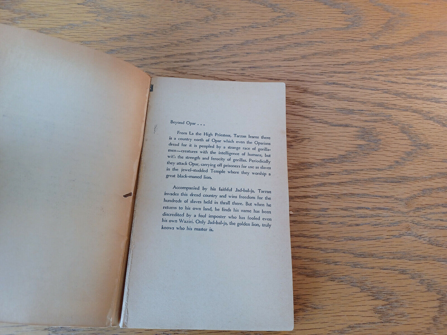 Image #7