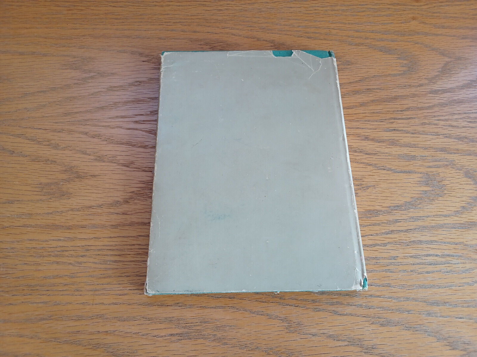 Image #6
