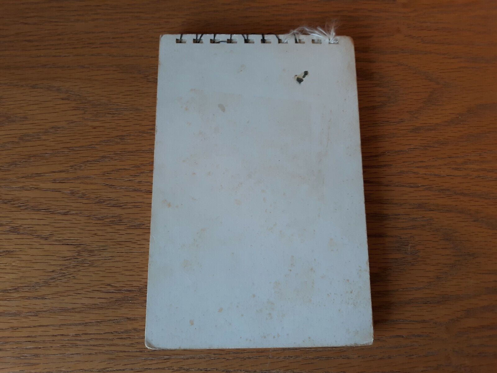 Image #6