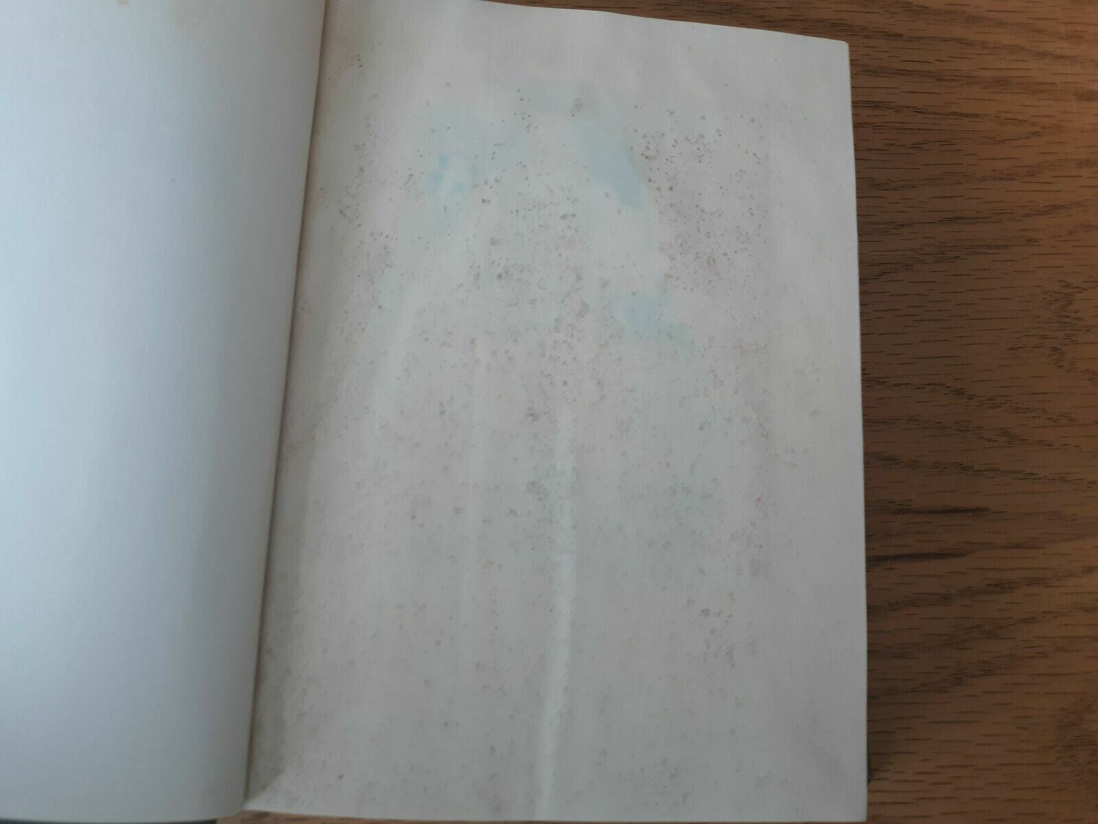 Image #7