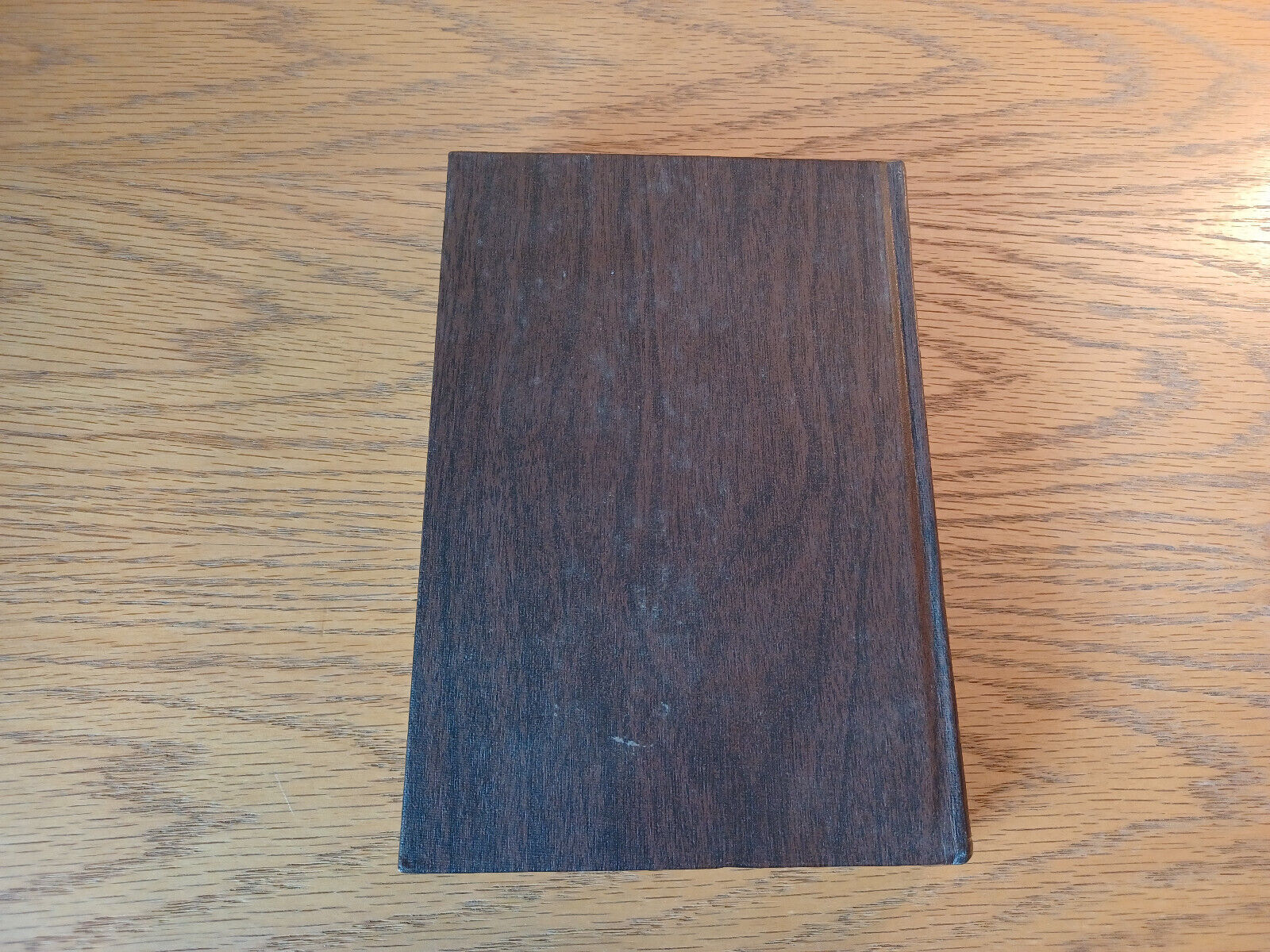 Image #6