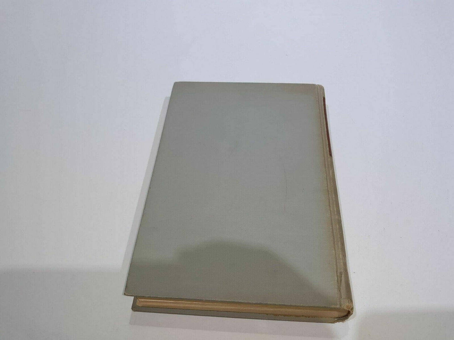 Image #7