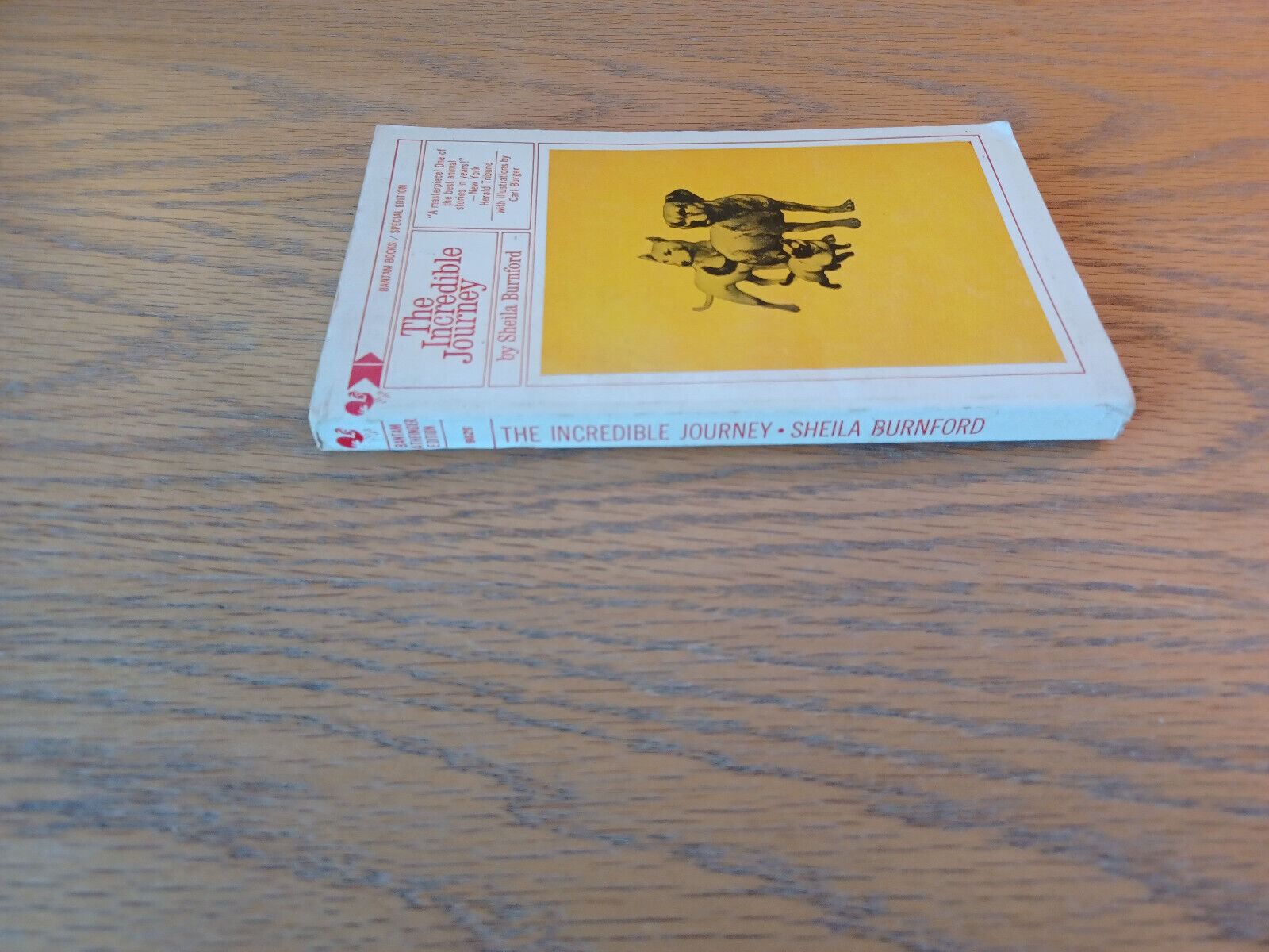 Image #5
