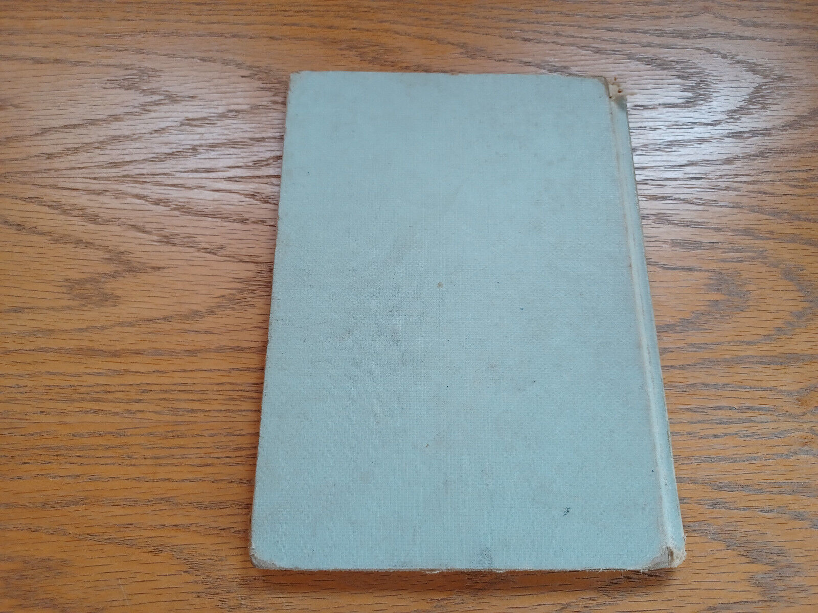 Image #6
