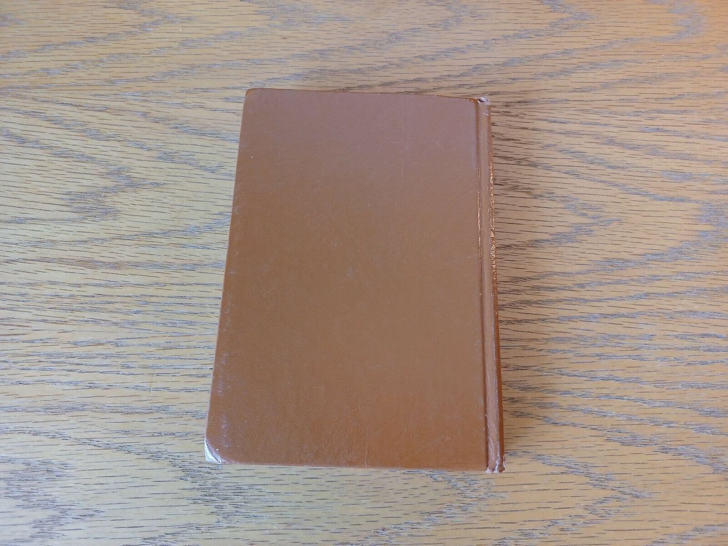 Image #6