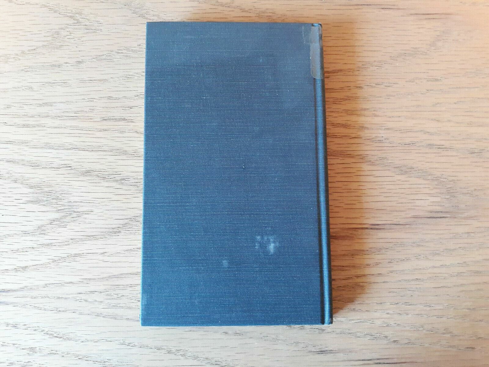 Image #6