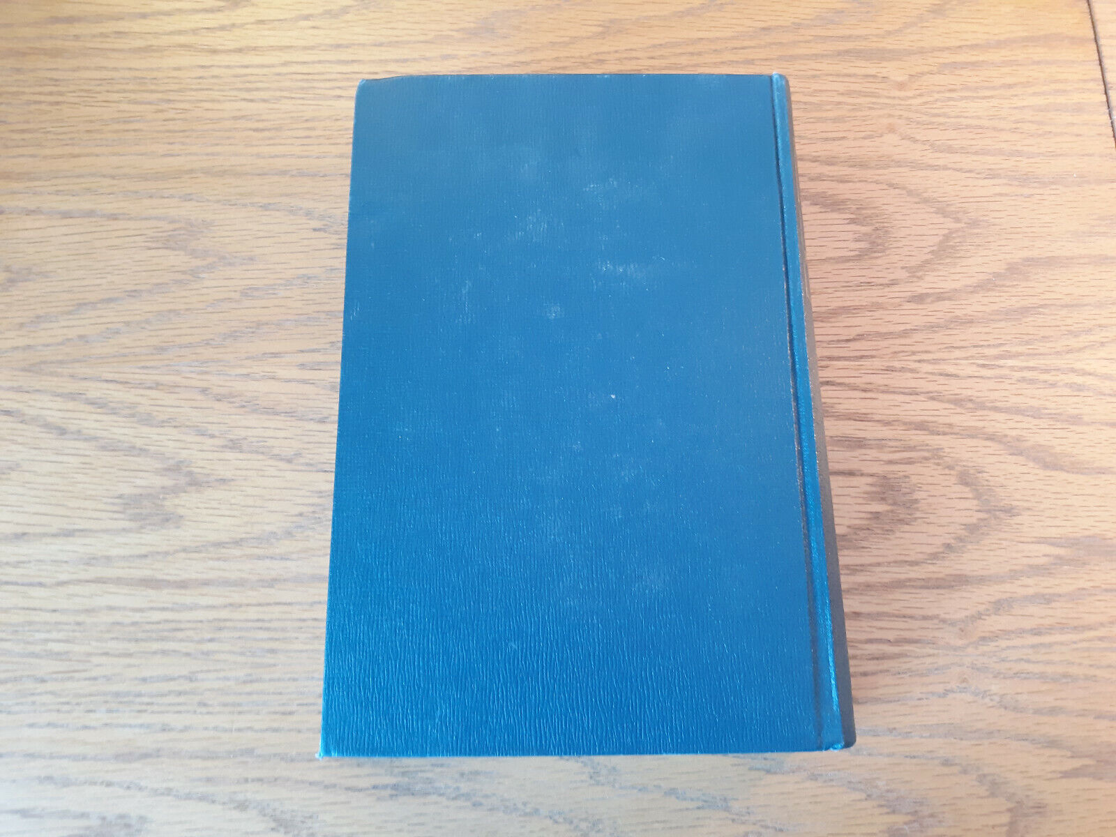 Image #6