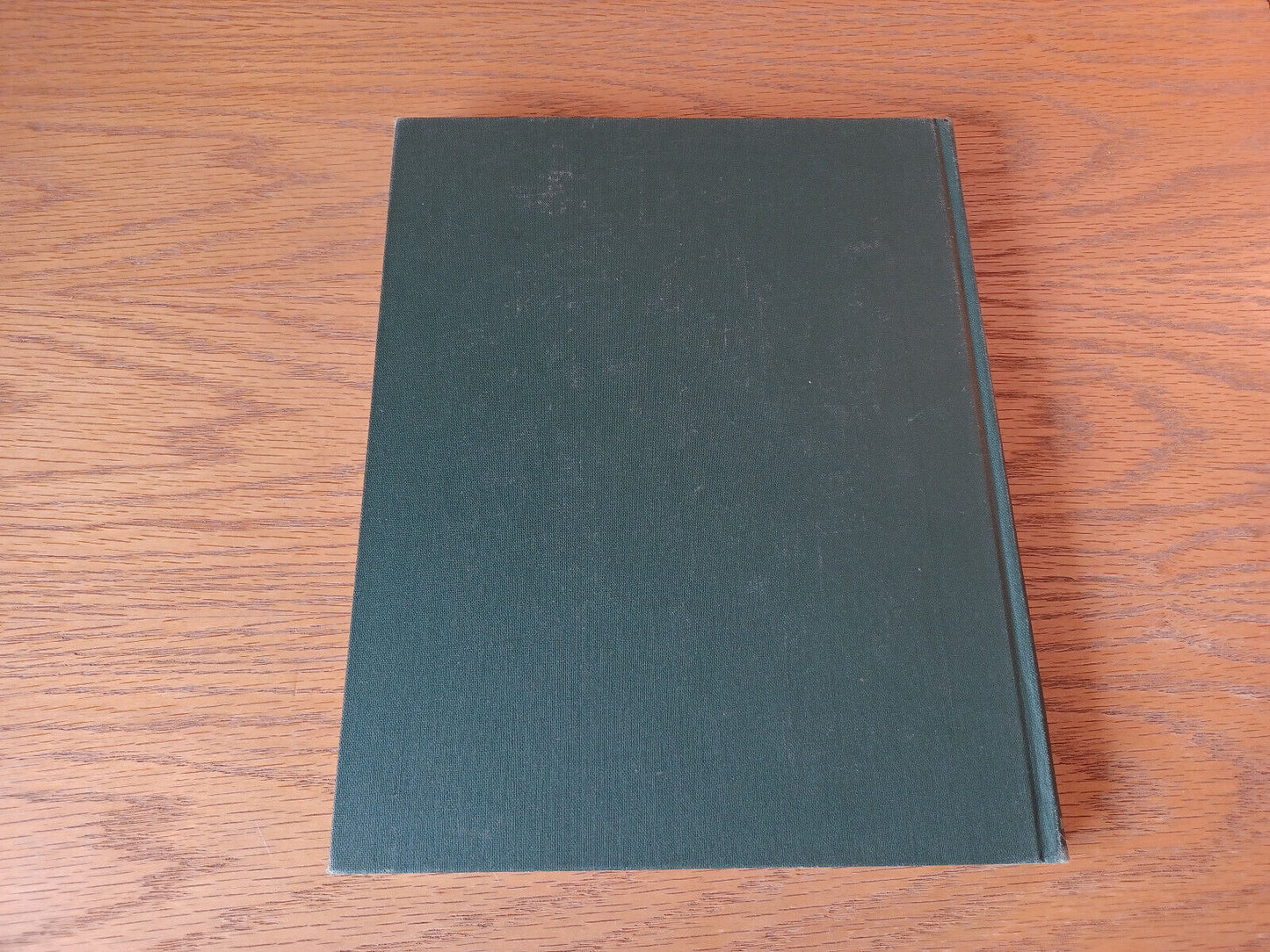 Image #6
