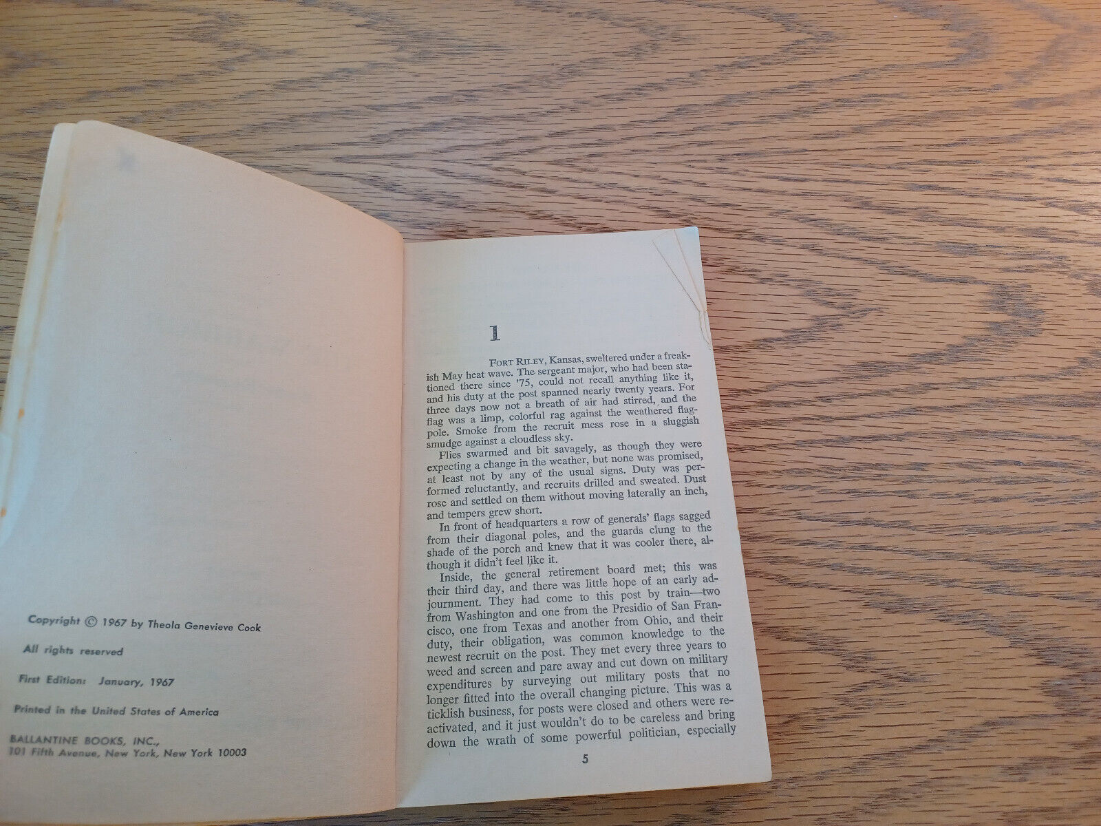 Image #8