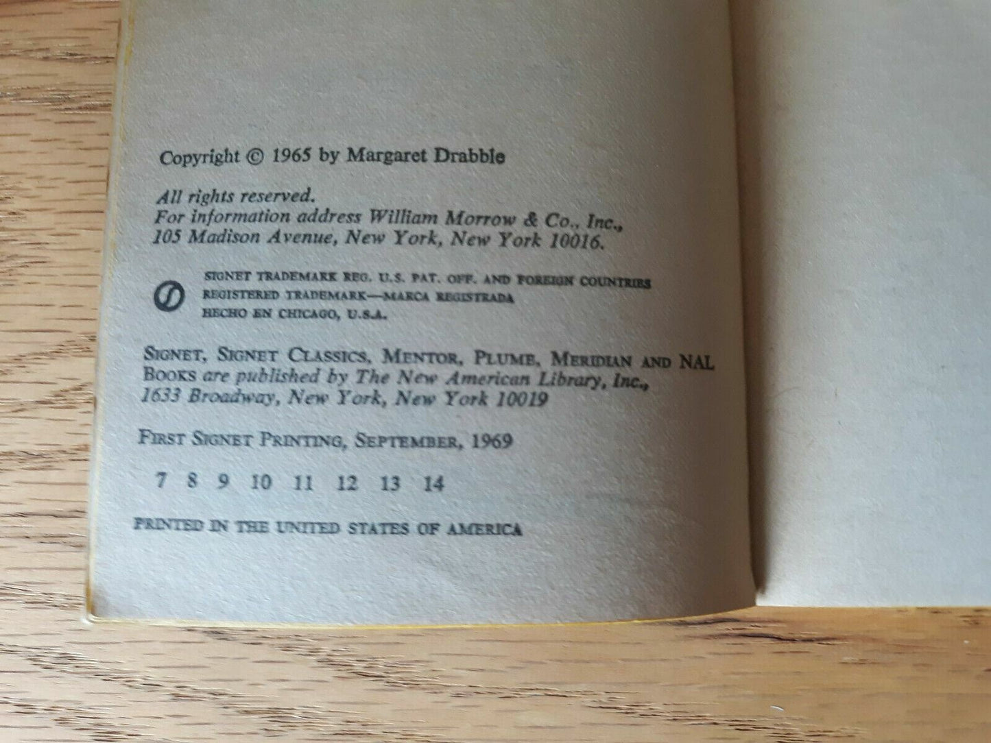 Image #8
