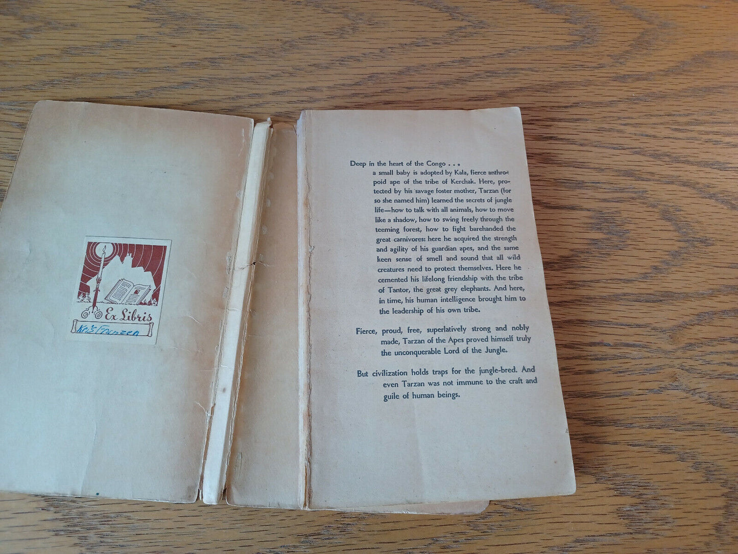 Image #7
