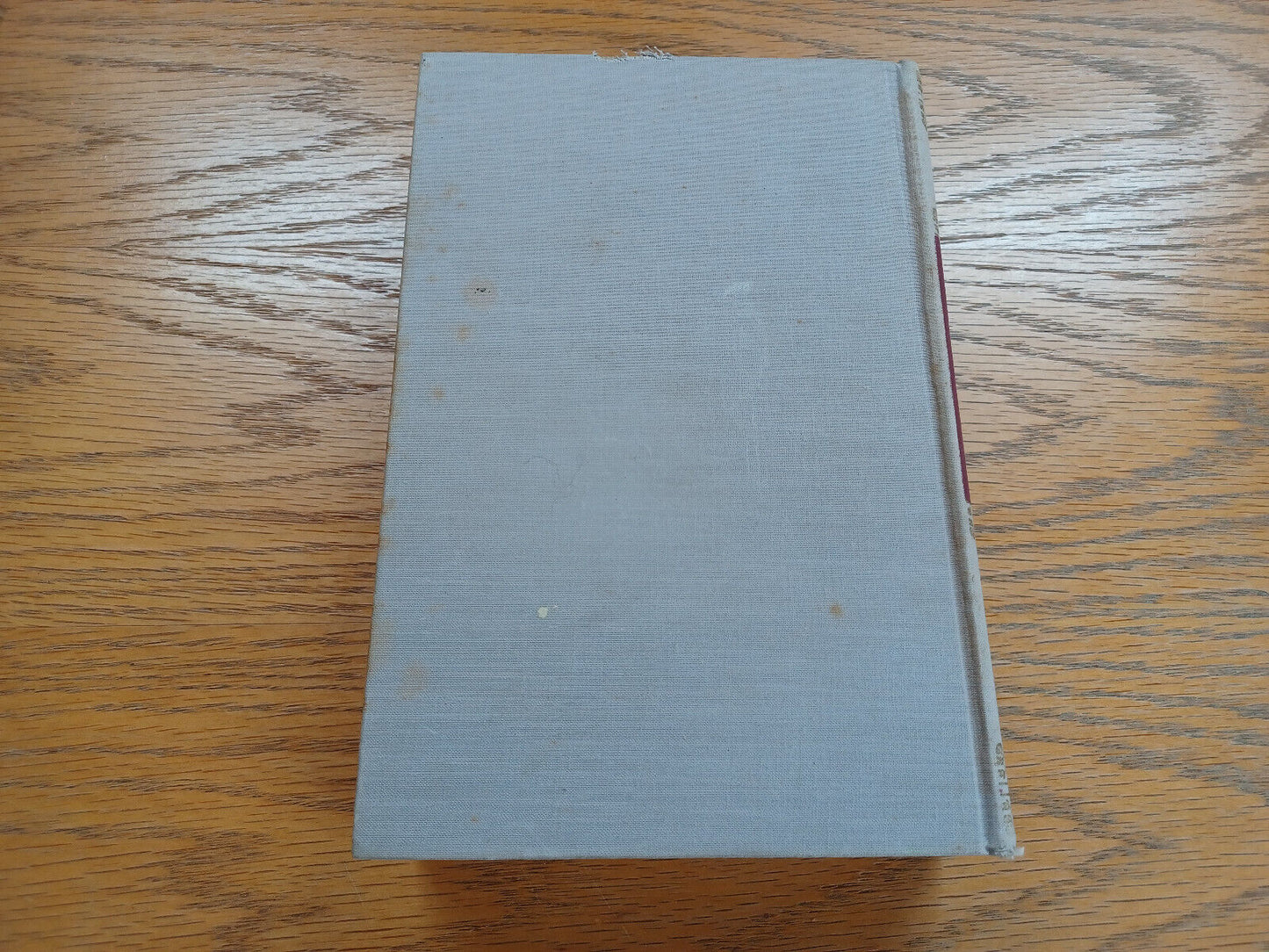Image #6
