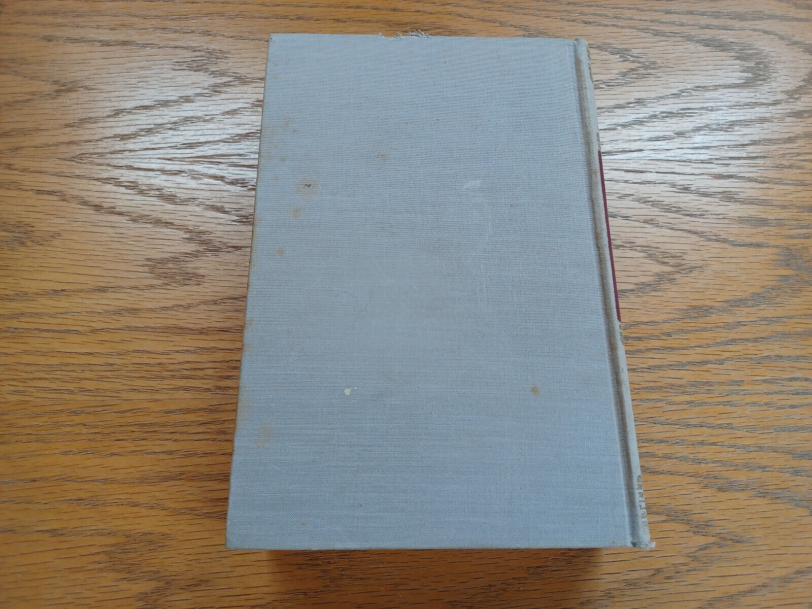 Image #6